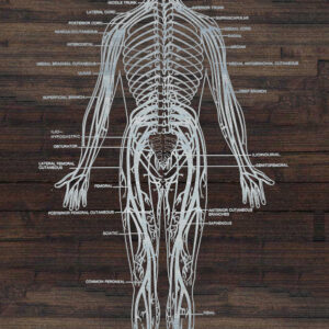 Nerve Pain Glycerite