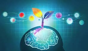 Brain Health Package