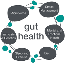 Gut Health Glycerite