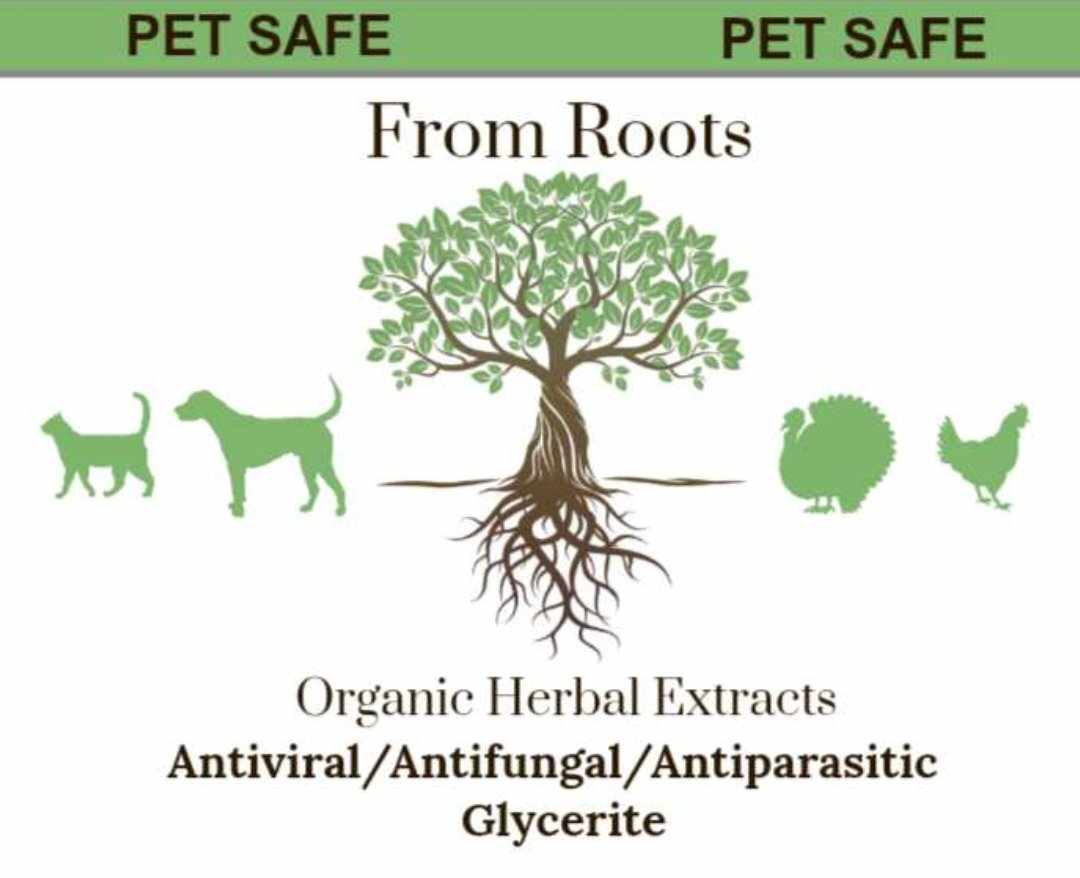 Antiviral/Antifungal/Antiparasitic Glycerite *Pet Safe
