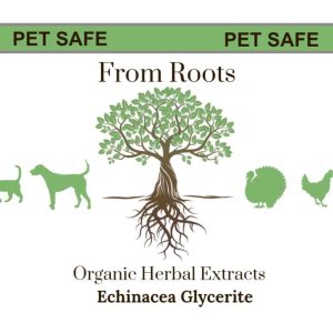 Echinacea Glycerite *Pet Safe